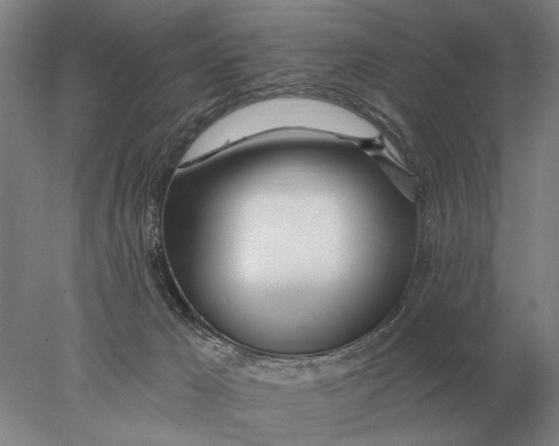 X0000078010029200611171858
