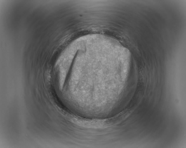 X0000078010032200611171858