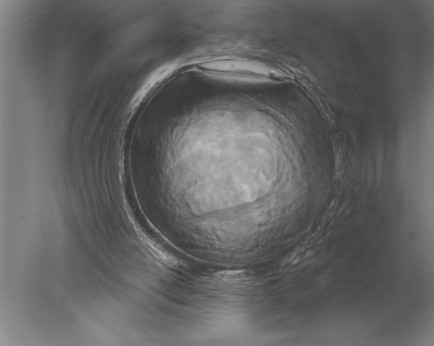 X0000078010054200611171857