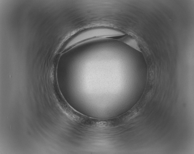 X0000078010064200611171857