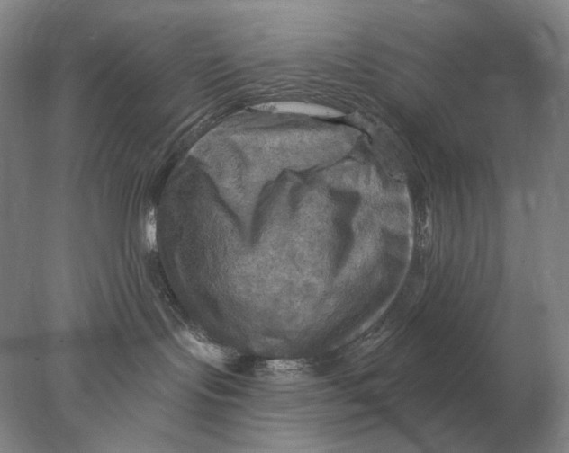 X0000078010095200611171857