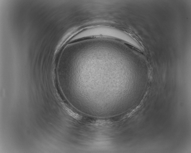 X0000078010101200611171857