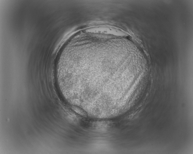 X0000078010103200611171856