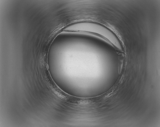 X0000078010105200611171856