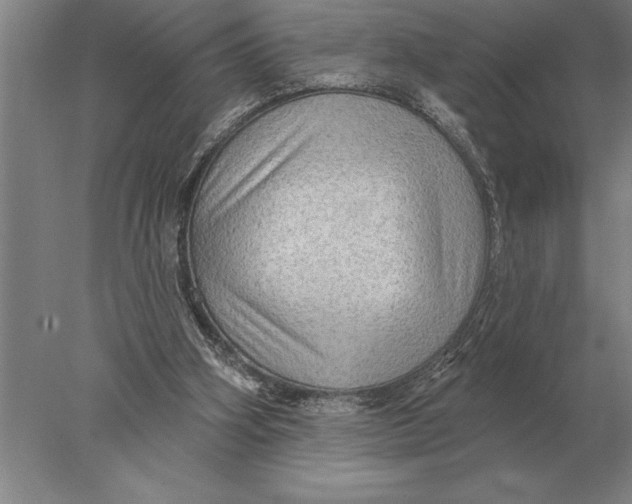 X0000078010106200611171856