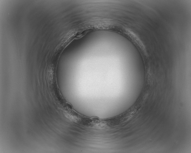 X0000078010113200611171856