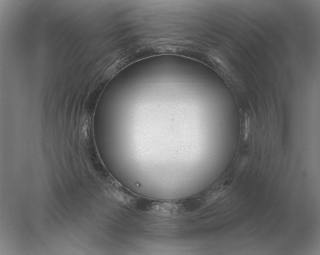X0000078010125200611171856