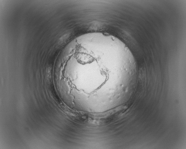 X0000078010127200611171856