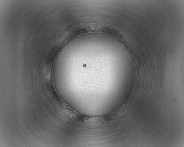 X0000078010129200611171856