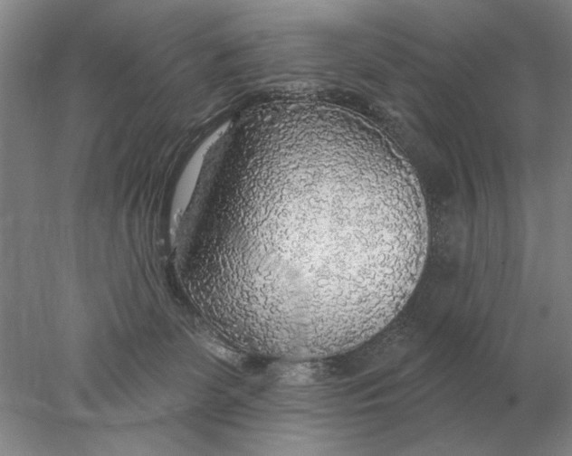 X0000078010131200611171856