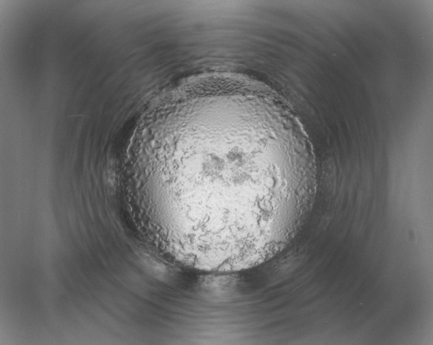 X0000078010135200611171856