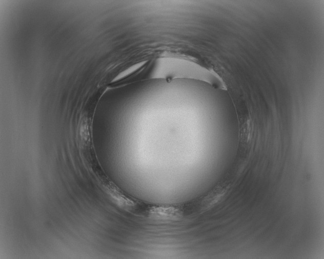 X0000078010137200611171856