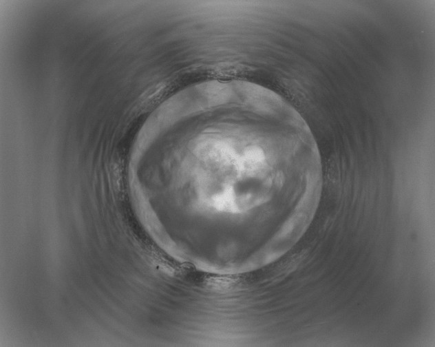 X0000078010139200611171856