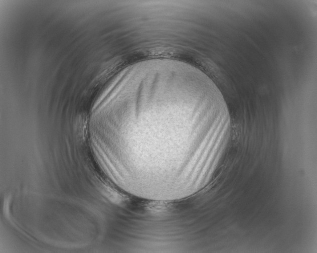 X0000078010142200611171856