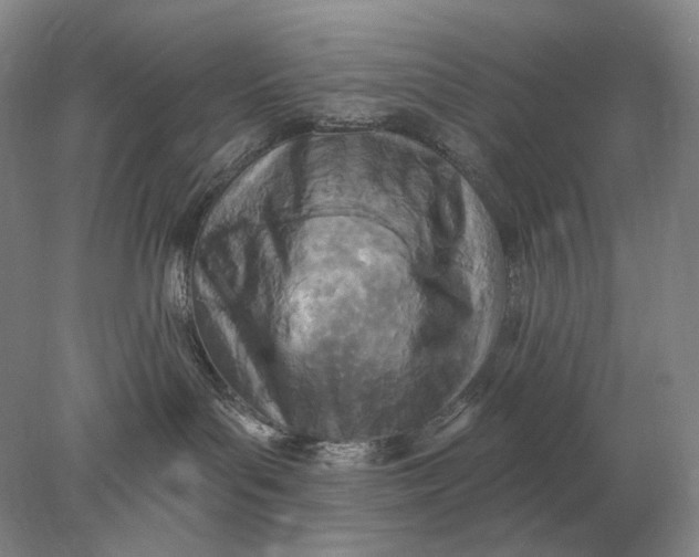 X0000078010143200611171856