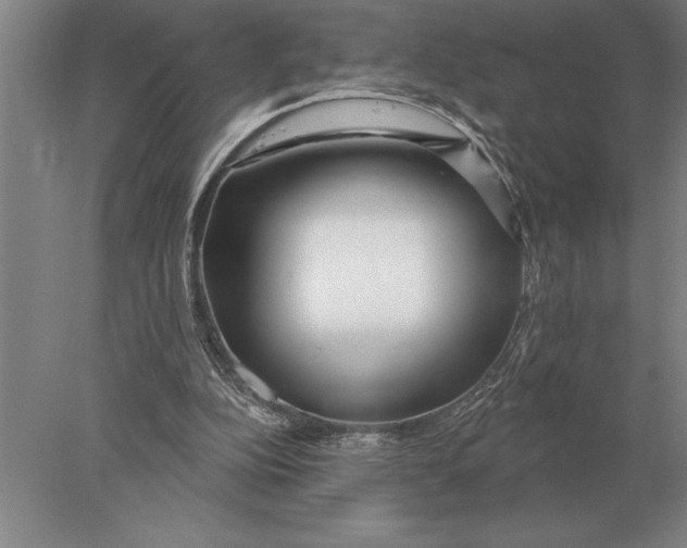 X0000078010152200611171855