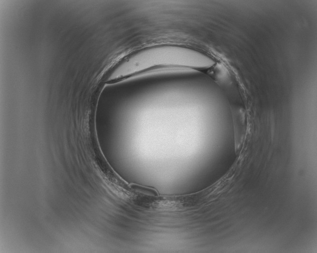 X0000078010154200611171855