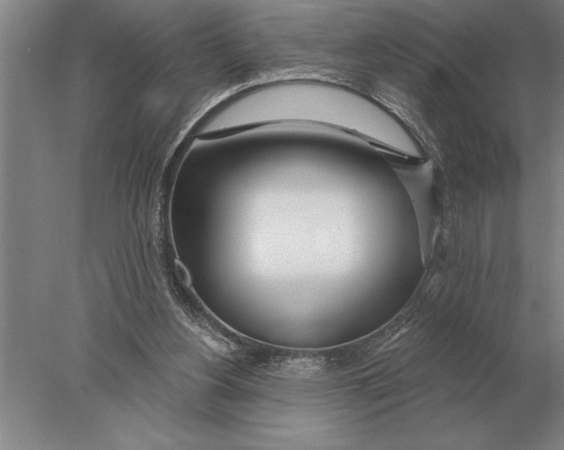 X0000078010156200611171855