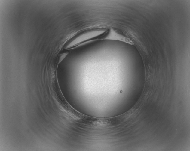 X0000078010164200611171855