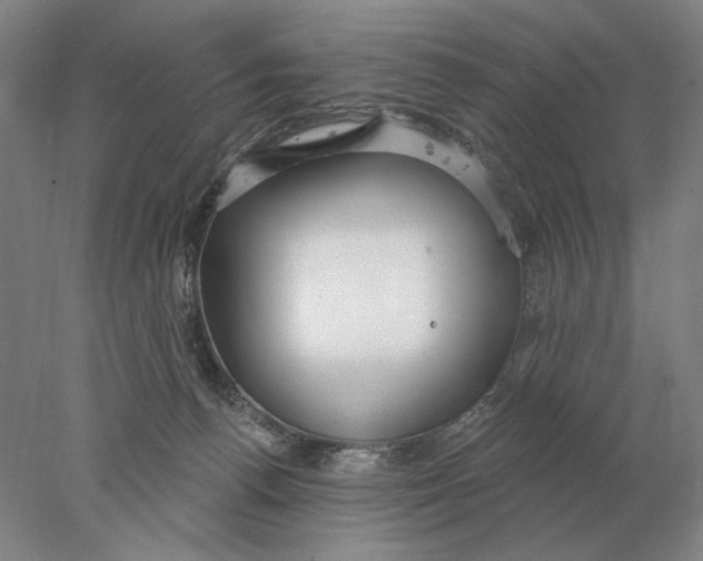 X0000078010176200611171856