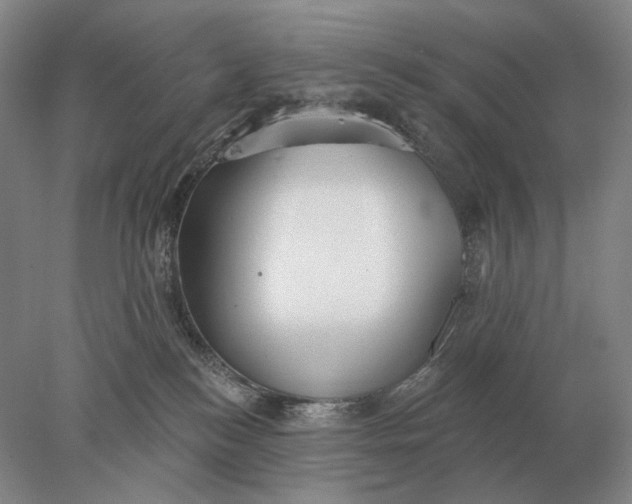 X0000078010184200611171856