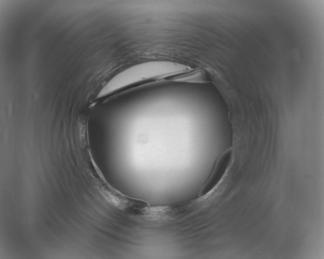 X0000078010192200611171856