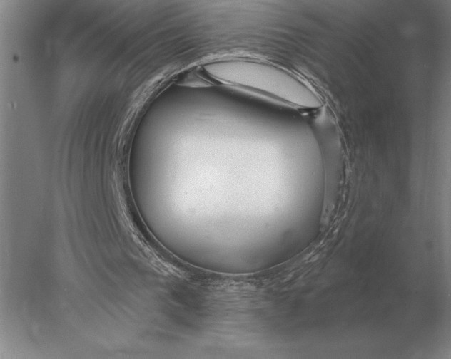 X0000078010193200611171855