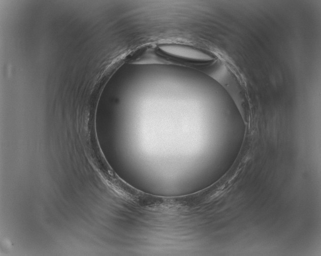 X0000078010201200611171855