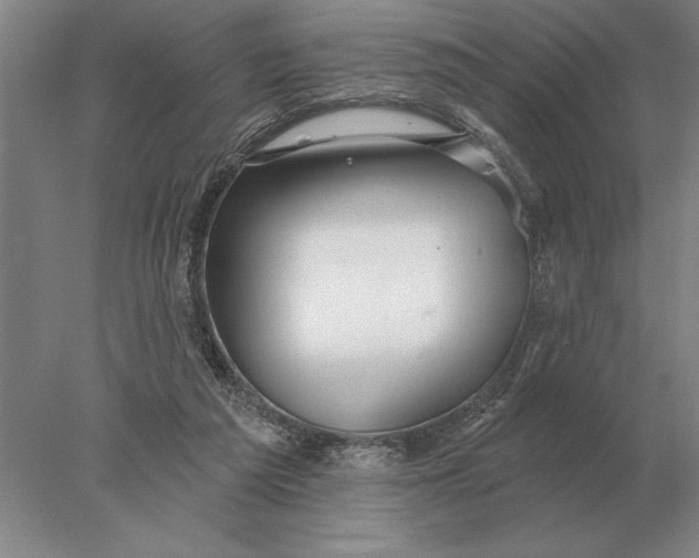 X0000078010209200611171855