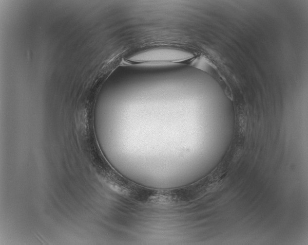 X0000078010211200611171855