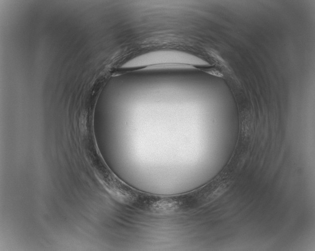 X0000078010213200611171855