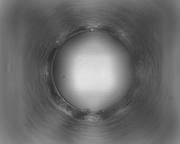 X0000078010215200611171855