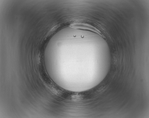 X0000078010216200611171855