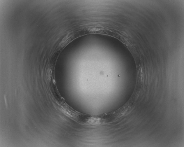 X0000078010227200611171854