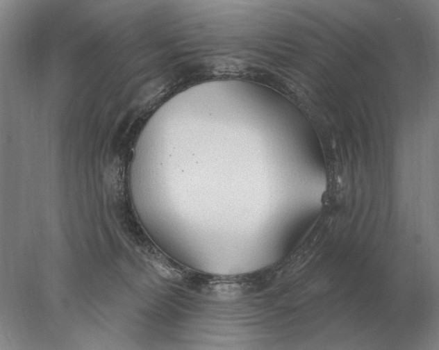 X0000078010228200611171854