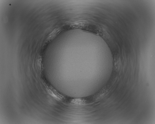 X0000078010231200611171854