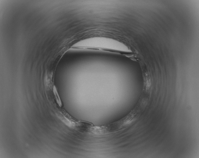 X0000078010239200611171854