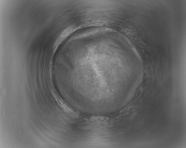 X0000078010242200611171853