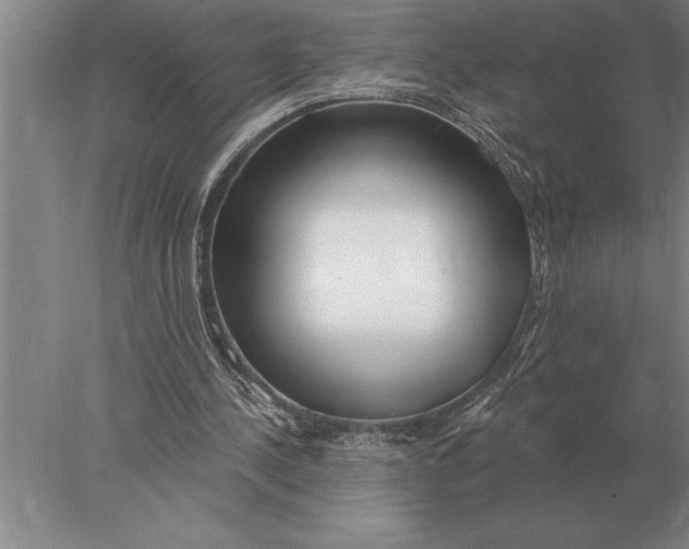X0000078010244200611171853