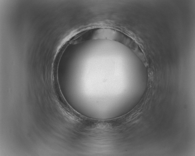 X0000078010248200611171853