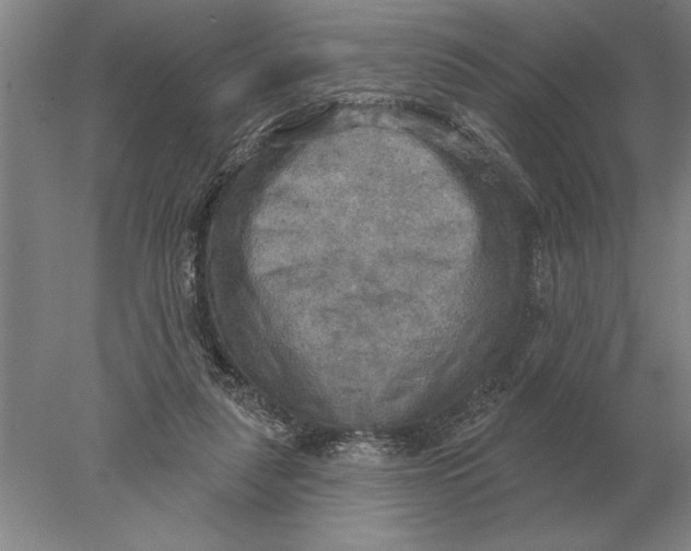 X0000078010259200611171854