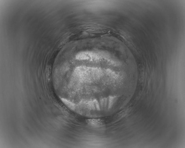 X0000078010273200611171854