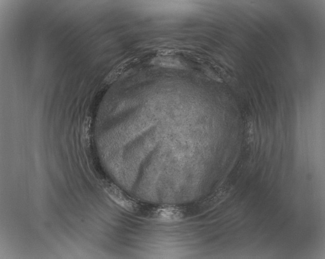 X0000078010275200611171854