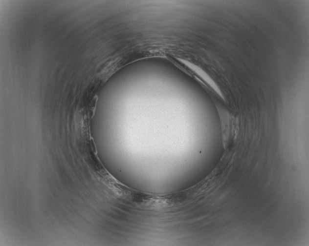 X0000078010276200611171854