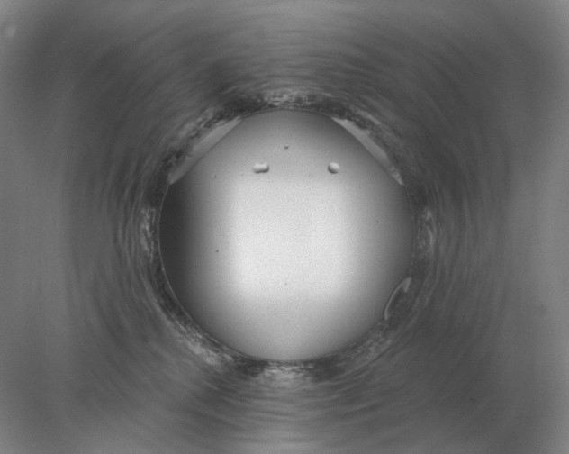 X0000078010280200611171854