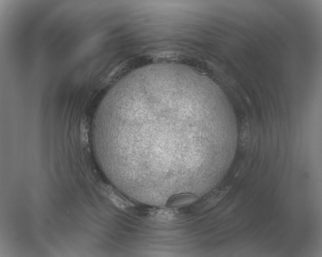X0000078010282200611171854