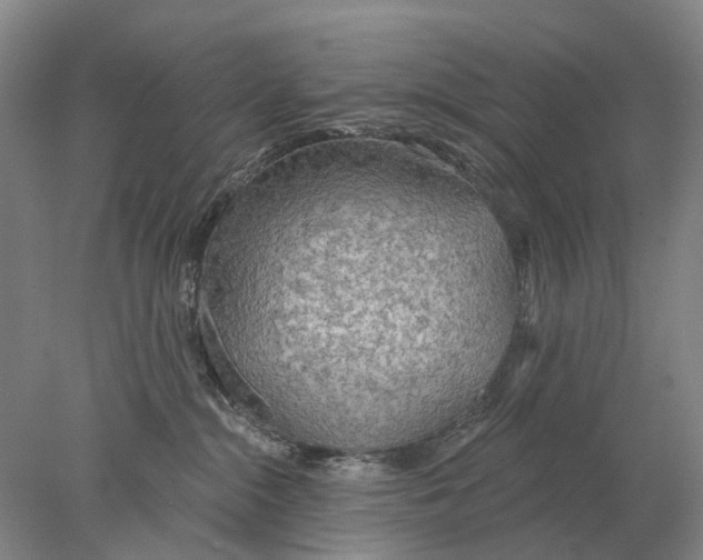 X0000078010284200611171854