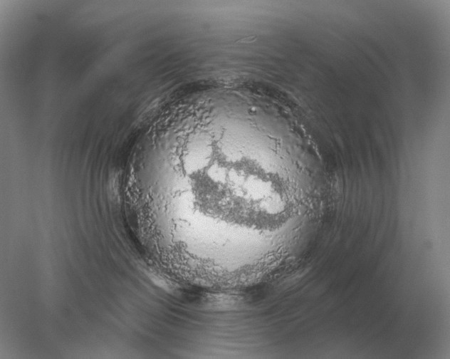 X0000078010286200611171854