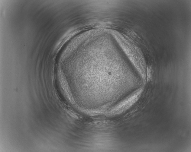 X0000078010291200611171853