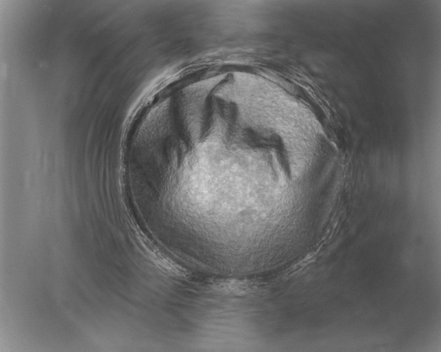 X0000078010293200611171853